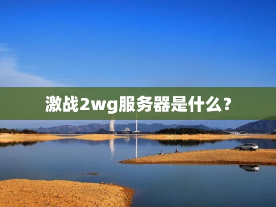 激战2wg服务器是什么？