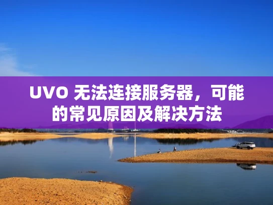 UVO 无法连接服务器，可能的常见原因及解决方法