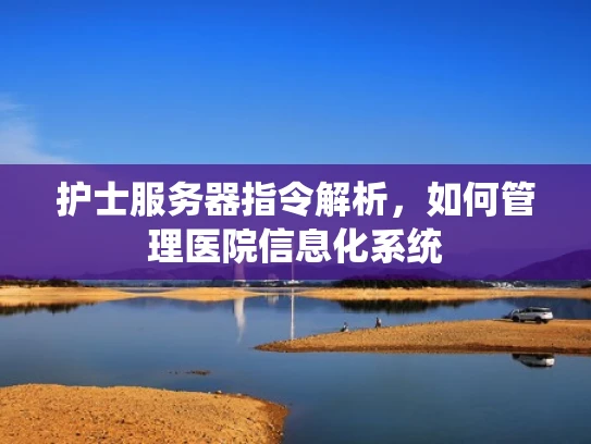 护士服务器指令解析，如何管理医院信息化系统
