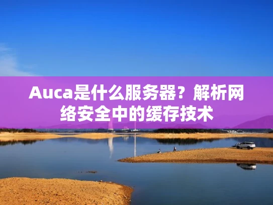 Auca是什么服务器？解析网络安全中的缓存技术