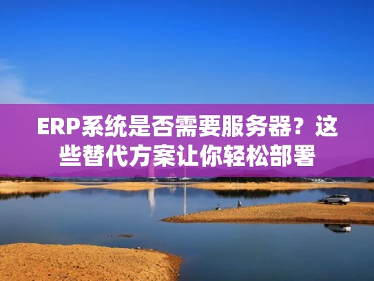 ERP系统是否需要服务器？这些替代方案让你轻松部署