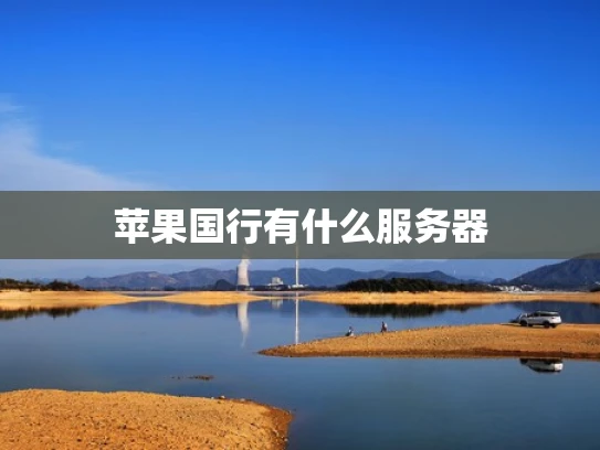 苹果国行有什么服务器