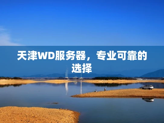 天津WD服务器，专业可靠的选择