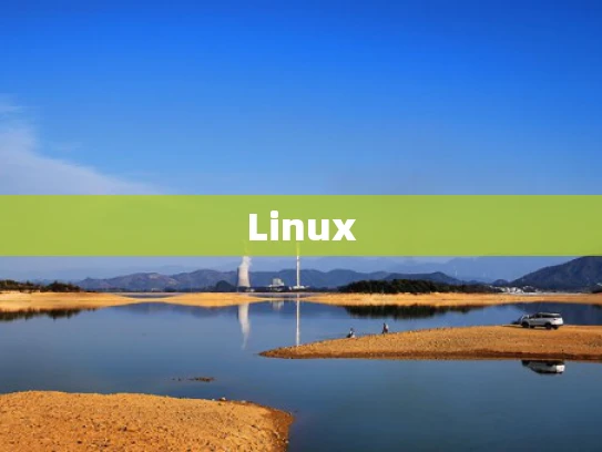 Linux