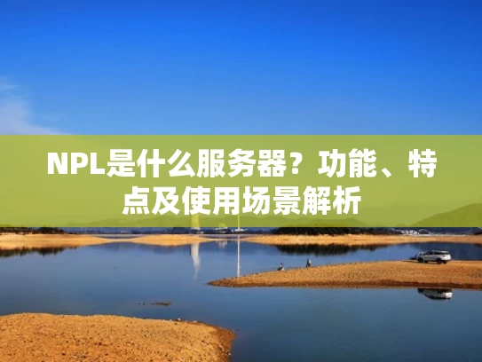 NPL是什么服务器？功能、特点及使用场景解析