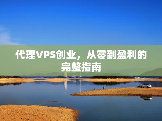 代理VPS创业，从零到盈利的完整指南