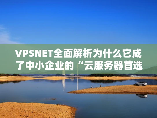 VPSNET全面解析为什么它成了中小企业的“云服务器首选”？