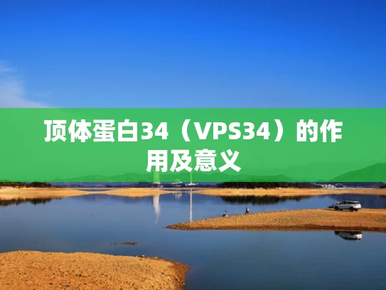 顶体蛋白34（VPS34）的作用及意义
