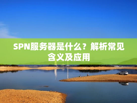 SPN服务器是什么？解析常见含义及应用