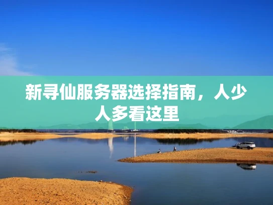 新寻仙服务器选择指南，人少人多看这里