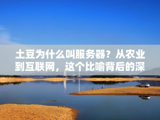 土豆为什么叫服务器？从农业到互联网，这个比喻背后的深层含义