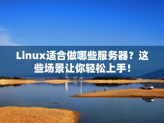Linux适合做哪些服务器？这些场景让你轻松上手！