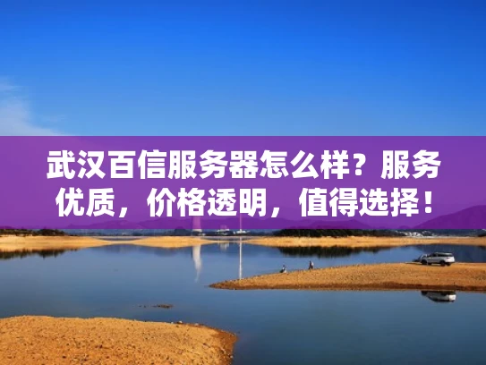 武汉百信服务器怎么样？服务优质，价格透明，值得选择！