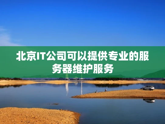 北京IT公司可以提供专业的服务器维护服务
