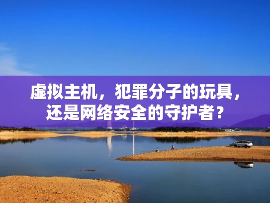 虚拟主机，犯罪分子的玩具，还是网络安全的守护者？