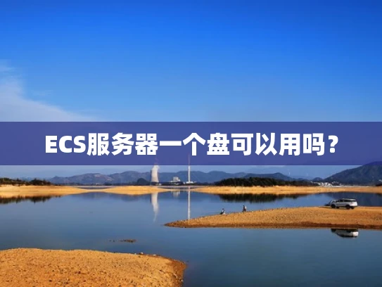 ECS服务器一个盘可以用吗？