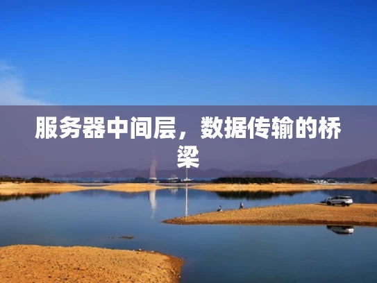 服务器中间层，数据传输的桥梁