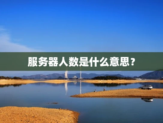 服务器人数是什么意思？