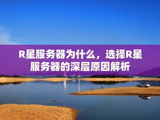 R星服务器为什么，选择R星服务器的深层原因解析