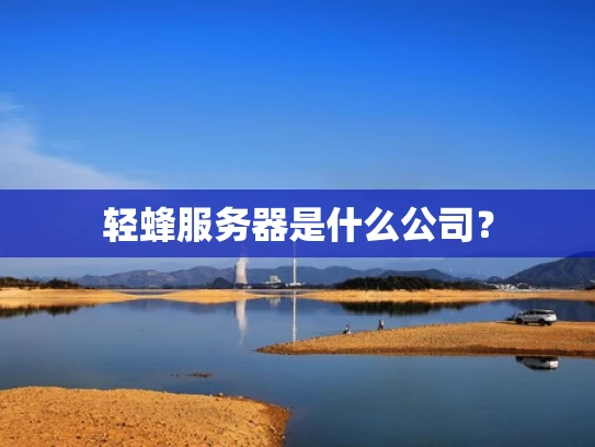轻蜂服务器是什么公司？