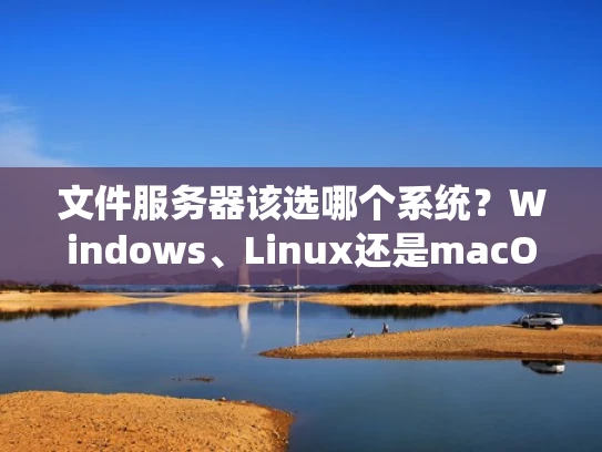 文件服务器该选哪个系统？Windows、Linux还是macOS？