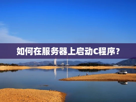 如何在服务器上启动C程序？