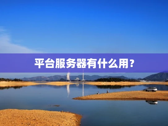 平台服务器有什么用？