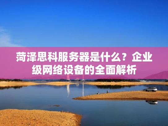 菏泽思科服务器是什么？企业级网络设备的全面解析