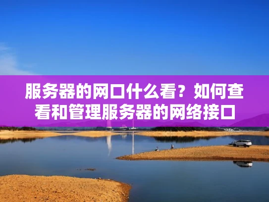 服务器的网口什么看？如何查看和管理服务器的网络接口