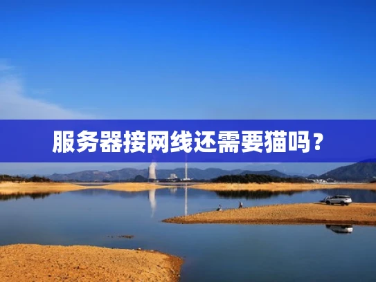 服务器接网线还需要猫吗？