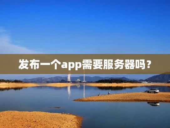 发布一个app需要服务器吗？