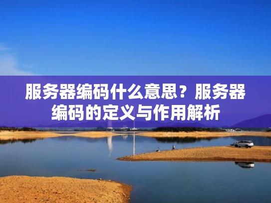 服务器编码什么意思？服务器编码的定义与作用解析