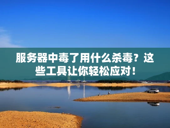 服务器中毒了用什么杀毒？这些工具让你轻松应对！