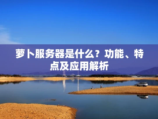 萝卜服务器是什么？功能、特点及应用解析