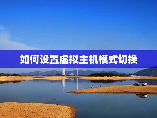 如何设置虚拟主机模式切换