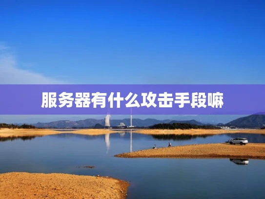 服务器有什么攻击手段嘛