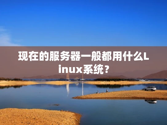 现在的服务器一般都用什么Linux系统？