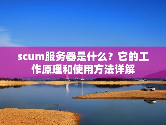 scum服务器是什么？它的工作原理和使用方法详解