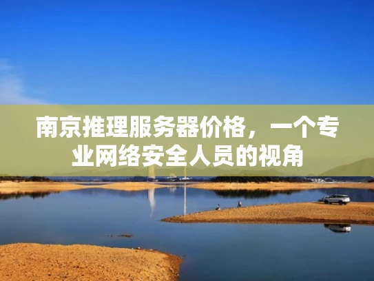 南京推理服务器价格，一个专业网络安全人员的视角