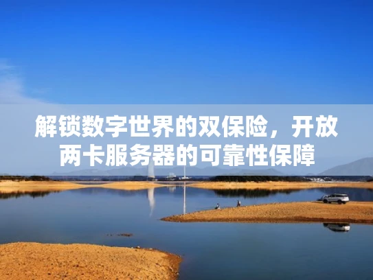 解锁数字世界的双保险，开放两卡服务器的可靠性保障