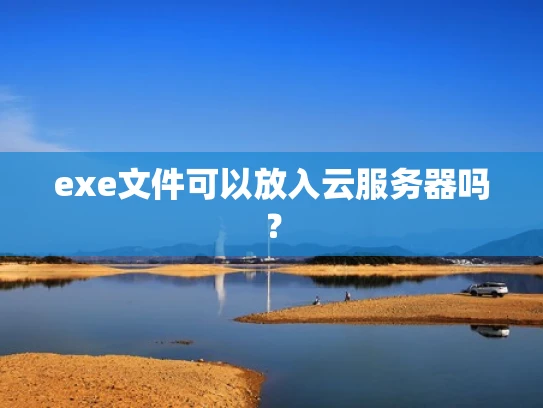 exe文件可以放入云服务器吗？