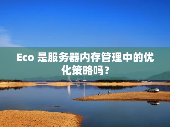 Eco 是服务器内存管理中的优化策略吗？