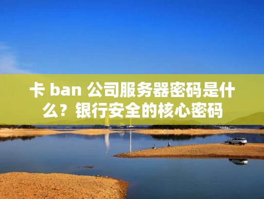 卡 ban 公司服务器密码是什么？银行安全的核心密码