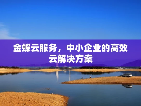 金蝶云服务，中小企业的高效云解决方案
