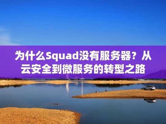 为什么Squad没有服务器？从云安全到微服务的转型之路