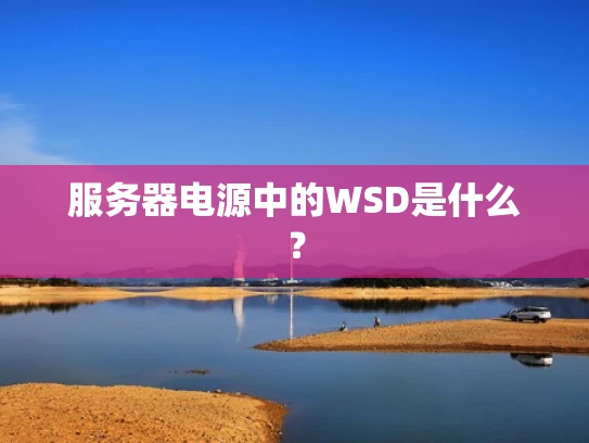 服务器电源中的WSD是什么？