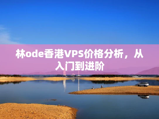林ode香港VPS价格分析，从入门到进阶
