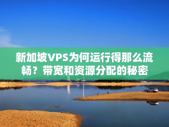 新加坡VPS为何运行得那么流畅？带宽和资源分配的秘密
