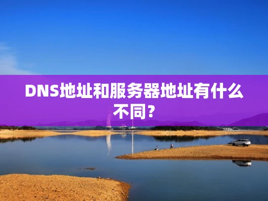 DNS地址和服务器地址有什么不同？