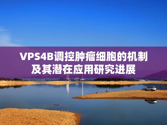 VPS4B调控肿瘤细胞的机制及其潜在应用研究进展